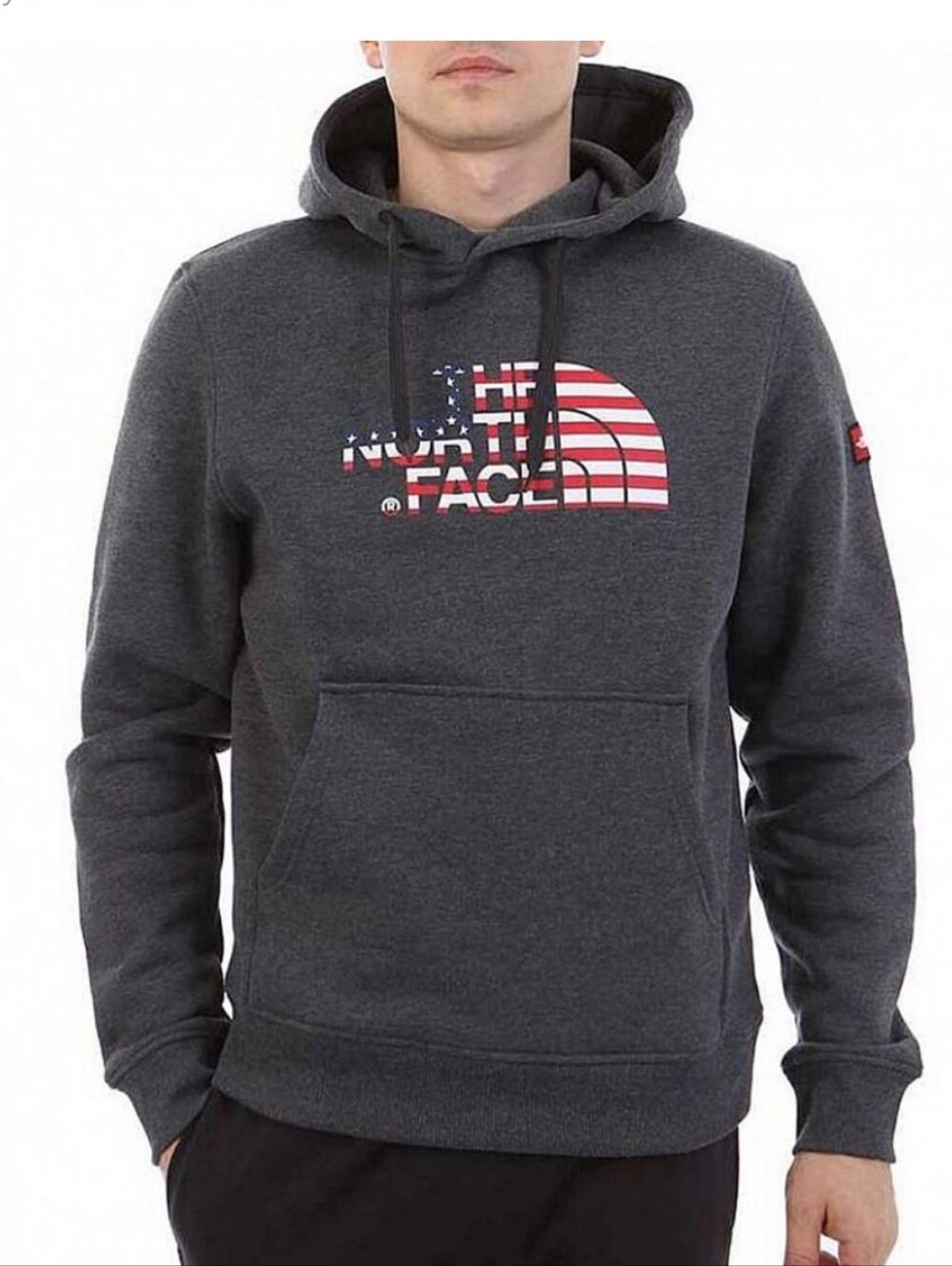 NWT The North Face IC Logo Dark Gray Men's Fleece Hoodie